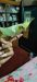 Tem birds